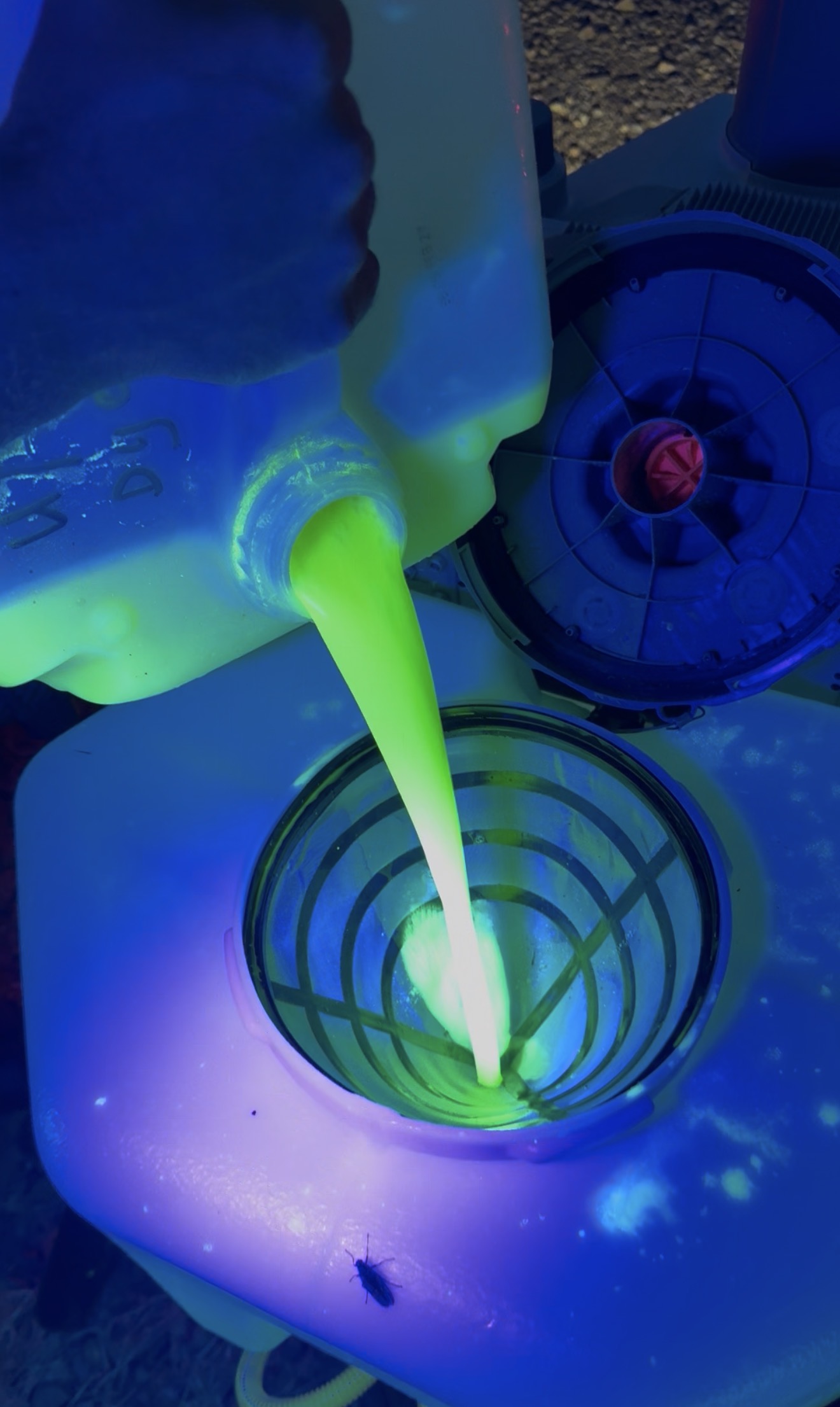 Fluorescent dye glowing under UV light