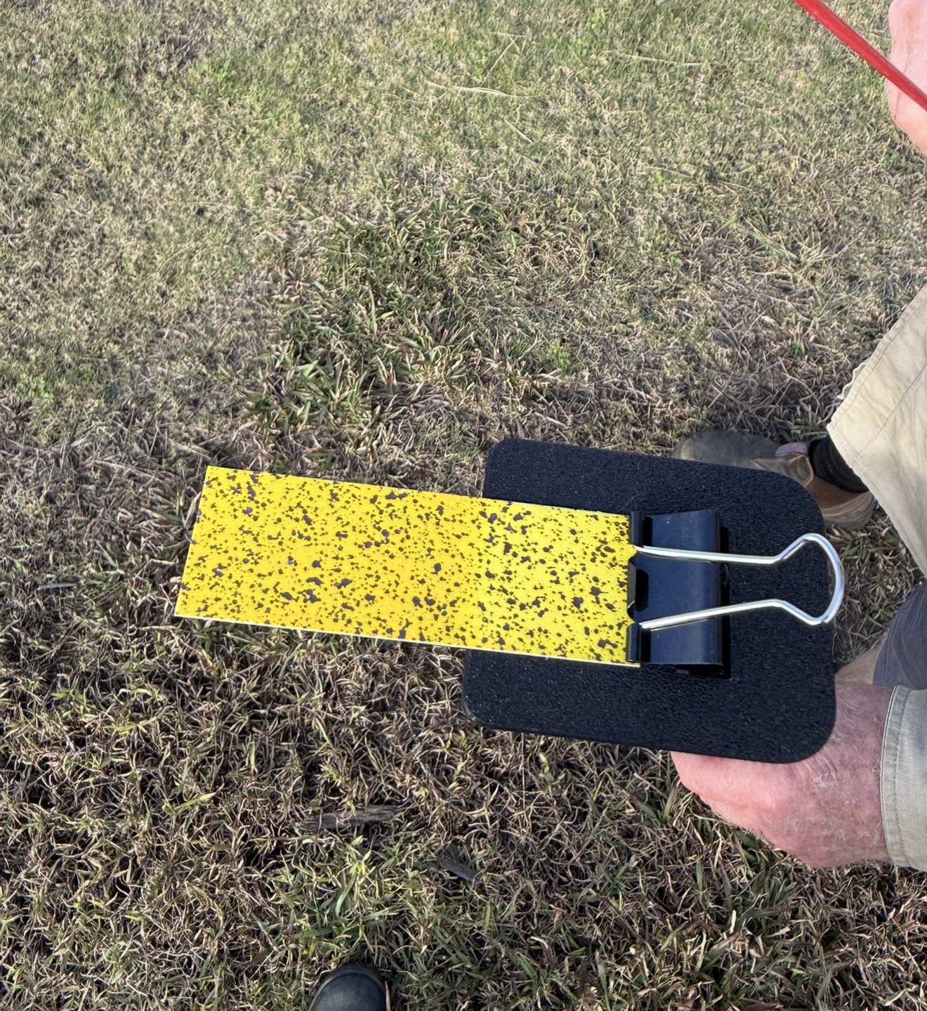 Spray coverage check, Northern Rivers
