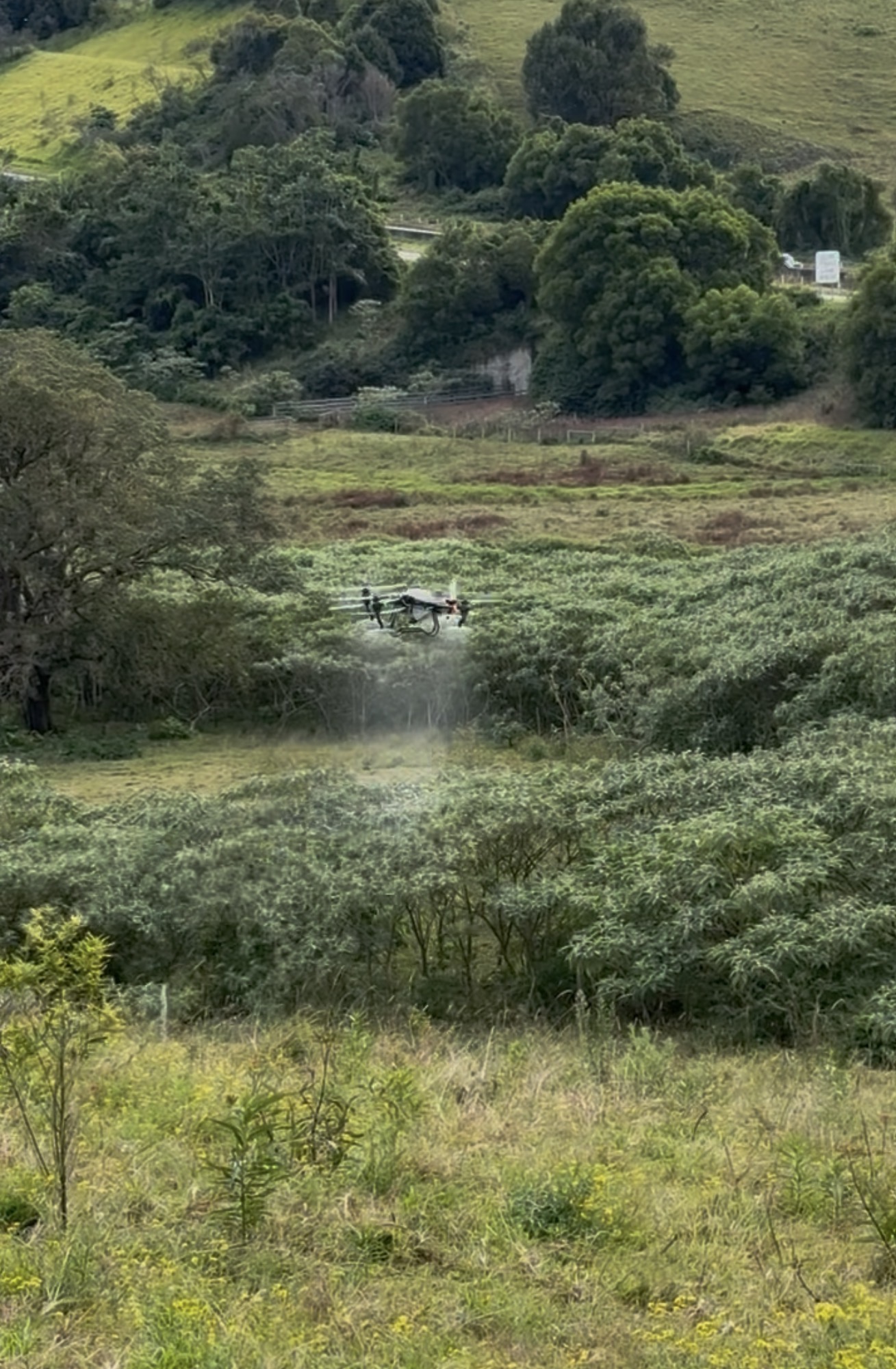 Spot spraying — All Flight, Northern Rivers NSW