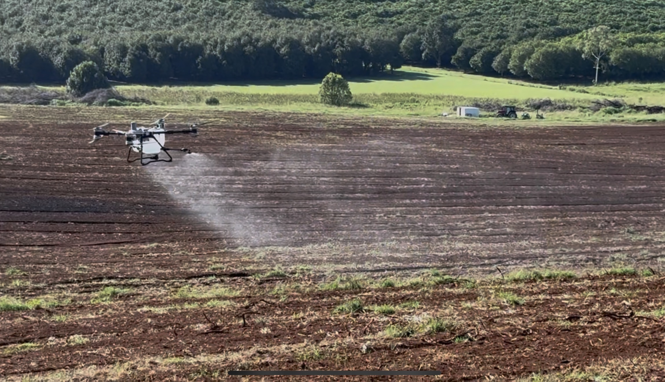 Drone spraying — All Flight, Northern Rivers NSW